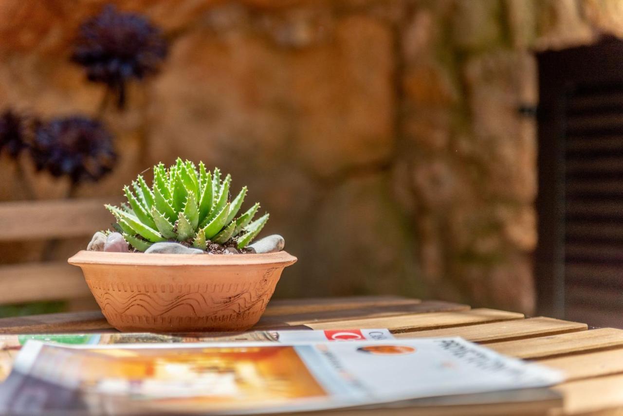 Hébergement de vacances Creus